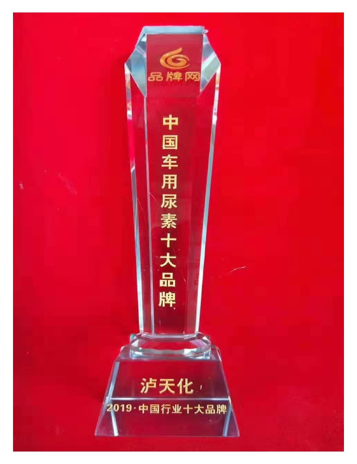 十大品牌.jpg 十大品牌.jpg