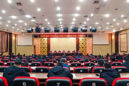 黨委書記抓基層黨建工作述職會.jpg 黨委書記抓基層黨建工作述職會.jpg